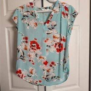 Fun 2 Fun Floral V-Neck Blouse in Red and White on Light Blue